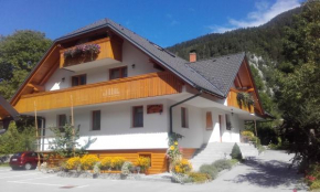 Apartments and Rooms Martuljk